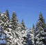 Похолодание до -15 °C ожидается в области - Tvoy-Bor.Ru