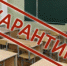 12 школ городского округа г. Бор полностью закрыты на карантин - Tvoy-Bor.Ru