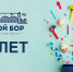 29 марта сайт "Твой Бор" празднует свой День рождения! - Tvoy-Bor.Ru