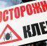 Осторожно клещи! - Tvoy-Bor.Ru