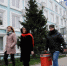 Активисты Общероссийского народного фронта искали молочный фальсификат - Tvoy-Bor.Ru
