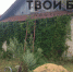 Борчанин десять лет прятал труп в подвале - Tvoy-Bor.Ru