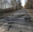72 миллиона рублей на дорогу до Керженского заповедника - Tvoy-Bor.Ru