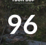Цифра дня: 96 - Tvoy-Bor.Ru