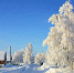 Настоящая зима может прийти в Нижегородскую область в феврале - Tvoy-Bor.Ru