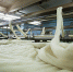 Борская фабрика получила разрешение на поставку продукции в Уругвай - Tvoy-Bor.Ru