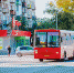 Режим работы борских автобусов с 22 июня - Tvoy-Bor.Ru