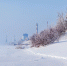 Весна не повлияла на толщину льда борских водоемов - Tvoy-Bor.Ru