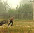 Лето 2010 может повториться на Бору - Tvoy-Bor.Ru