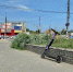Кикшеринг по-борски - Tvoy-Bor.Ru