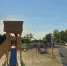 Лучшие места для прогулок с детьми в городе Бор 1 - Tvoy-Bor.Ru
