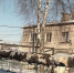 Крик души из Кантаурово 1 - Tvoy-Bor.Ru