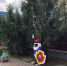 Слова борской благодарности 1 - Tvoy-Bor.Ru