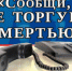 В Нижегородской области стартует первый этап антинаркотической акции «Сообщи, где торгуют смертью» - Город Бор