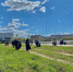 Борчан позовут на субботники - Tvoy-Bor.Ru