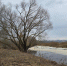 Вода в Волге прибывает! - Tvoy-Bor.Ru