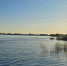 Вода пошла на спад - Tvoy-Bor.Ru