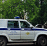 Две истории про буйных борчан - Tvoy-Bor.Ru