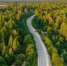 Керженский заповедник будет временно закрыт - Tvoy-Bor.Ru