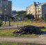 На Мухинском начались работы по демонтажу покрытий 1 - Tvoy-Bor.Ru