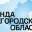 Проект «Команда Нижегородской области» - Город Бор