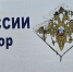 Серьёзный штраф грозит борчанину по делу о мигрантах - Tvoy-Bor.Ru
