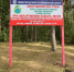 В Нижегородской области отменён особый противопожарный режим - Tvoy-Bor.Ru