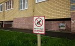 Новые правила содержания домашних животных на Бору