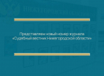 Представляем новый номер журнала "Судебный вестник Нижегородской области"