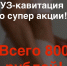 Новогодние скидки в студии Эстетика 1 - Tvoy-Bor.Ru