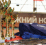 Команда Нижегородского областного суда одержала победу в турнире по волейболу на Кубок Фемиды - Борский городской суд