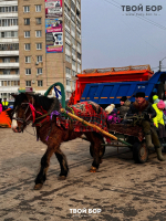 Как прошли масленичные гуляния на Бору и Стекольном 2
