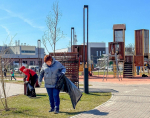Борчан позовут на субботники