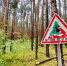 Сезон повышенной пожароопасности вот-вот начнетсЯ - Tvoy-Bor.Ru