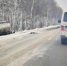Женщину осудят за смертельное ДТП - Tvoy-Bor.Ru