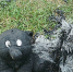 Основная причина аварий канализации — это посторонние предметы - Tvoy-Bor.Ru