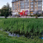 Пост гнева от подписчика 1