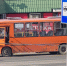 Алексей Боровский про общественный транспорт: - Tvoy-Bor.Ru