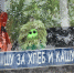 Цифра дня: - Tvoy-Bor.Ru