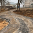 Фото для истории 1 - Tvoy-Bor.Ru