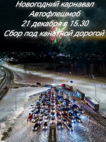 На Бору состоится новогодний автофлешмоб