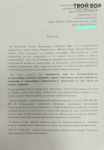 Борчанка решила действовать! 2