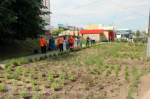 У арт‑объекта «Жар‑птица» появилось новое зелёное пространство