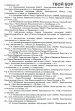 Борская ЦРБ официально стала ММЦ «Волгоречье» 2
