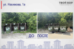 Борчане не устают удивлять, на этот раз с негативной стороны 4