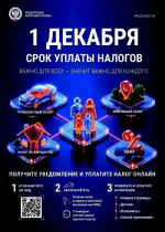 1 декабря — срок уплаты имущественных налогов